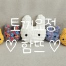 뜨개요정 이미지