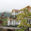 산길따라 이미지