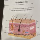 아나덴 슈가링왁싱 수유역점 이미지