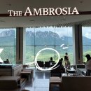 로카와 델피노2 이미지