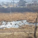 미소지음공인중개사사무소 이미지