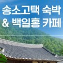 청솔공원식당