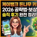 그린뱅크 | 케이뱅크 돈나무 키우기 완전 정리｜2026년 공략법·보상·실수익 솔직 후기
