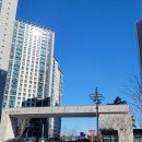 공도쌍용공인중개사사무소 | 안성 공도 센트럴카운티 아파트 알아보기(10년민간임대)