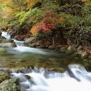 파크식당 이미지