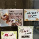 성남 아기랑 가기 좋은 곳 ㅣ파미어스몰 판교-거북이 카페 후기, 주차 ㅣ쿠펫과발토앤제이ㅣ아기랑 주말...
