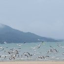 무안비치호텔 이미지