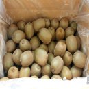 진환농장 이미지