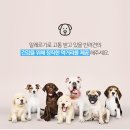 마이펫푸드 이미지