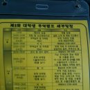 eco green farm | 제 3회 대학생 무역캠프 경북권 후기