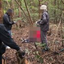 색달동-19 이미지