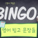 백야드잉글리시