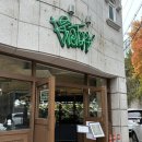 금당로69번길 | [비오토프 갤러리] 조만간 내방에도.. 비바리움과 게코가... 올지도?