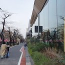 와와리저브 이미지