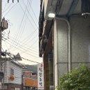 의정부 금오동 초밥맛집 가성비까지 착한초밥, 긴꼬리초밥 후기