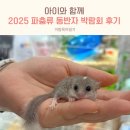 꼬리살랑 | 2025 파충류 동반자 국내 대표 파충류 박람회 방문후기