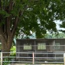 인삼송어장 이미지