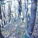 덕천1리 이미지