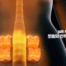 누가페 인덕원점 이미지