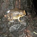 대명목욕탕 이미지