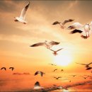 대왕목장 이미지