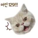 마티나로스팅커피머신 네이버블로그