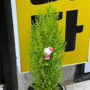 삼학아파트 앞 이미지