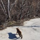 채령농장 이미지