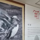 샘골농원 이미지
