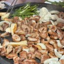 금돼지생막창 | 군포삼성마을 태영생막창 돼지막창 맛집 솔직 후기