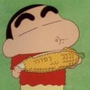 [공지] 인생이 답답하다면, 사주 GPT에게 물어보세요.