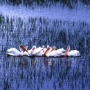 도희목장 이미지