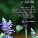 자연의선물 네이버블로그