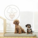 21세기동물병원 이미지