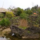 제주도여행지 - 석부작테마공원(귤림성) 이미지