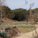 정안면사무소2 이미지