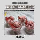 닌자 아이스크림 메이커 내돈내산 솔직후기