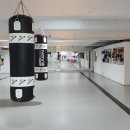 거북복싱체육관 이미지