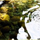 영천동 법호촌 이미지