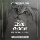 중곡동물병원 이미지