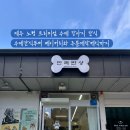 반려반상 이미지