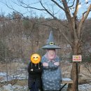 가평 채움카라반 글램핑리조트 후기