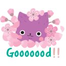 핏타민약국 이미지