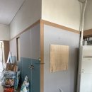 라이크테테 이미지