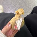 더오르빗학원 | 쉬어갑니다.