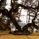 도산서원관리사무소 이미지