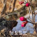 시청앞 미관광장 이미지