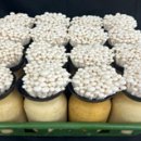 백마축산 이미지