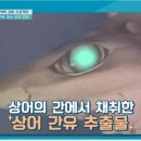 세모스쿠알렌 이미지