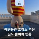 패밀리애견 | 진도 애견동반 여행 쏠비치 패밀리펫 프랜들리 오션뷰
